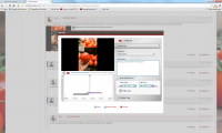 Tomato Tagging Editor